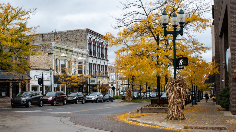 A street in Petoskey in the fall