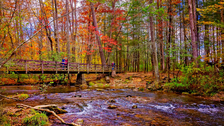 Fall foliage at a trailhead in Townsend