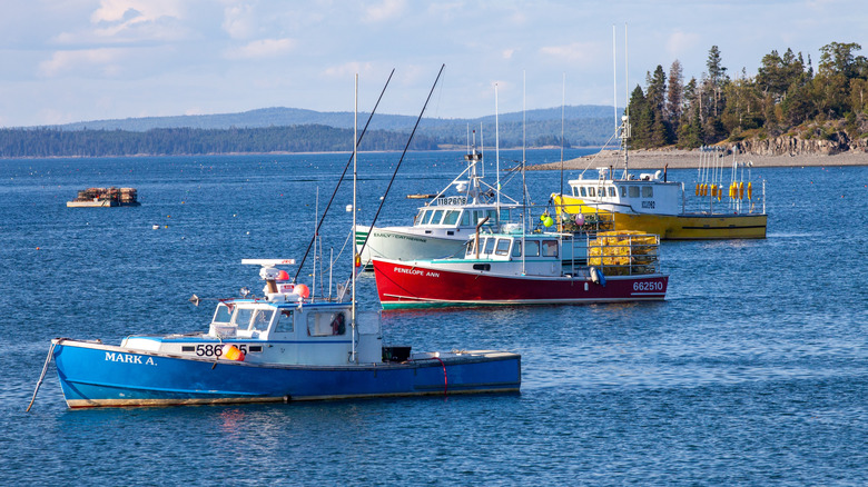 Colorful boats lie in wait near Bar Harbor, Maine