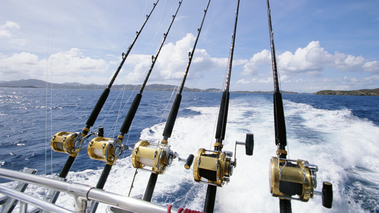 Rods in holders as boat heads offshore