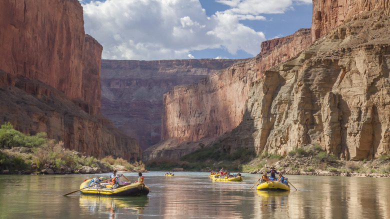 rafts floating on canyon river