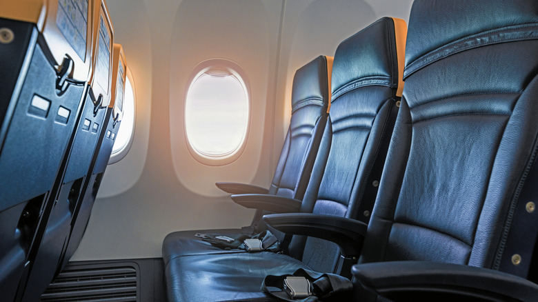 Leather airline seats