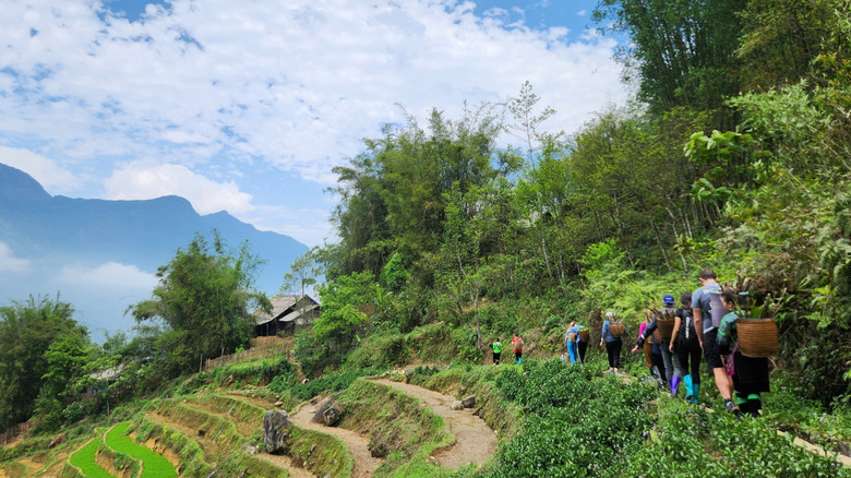 trekking to the homestay in Sapa, Vietnam