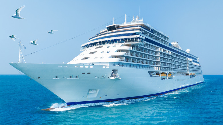 Cruise ship on the ocean