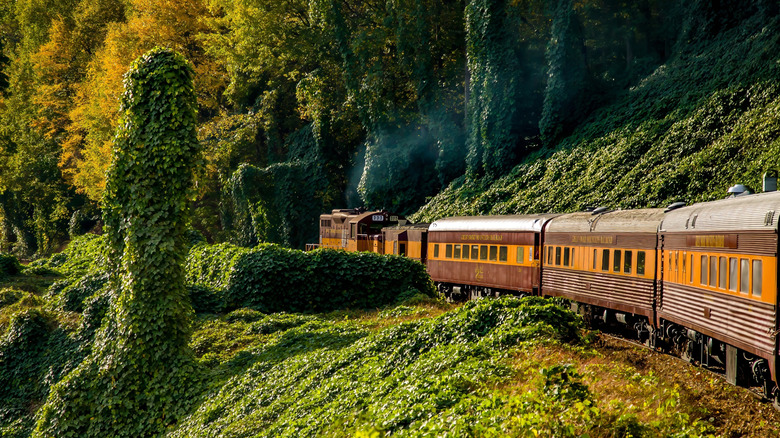 An image of the Great Smoky Mountains Railroad