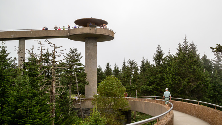 Kuwohi Observation Tower, Great Smoky Mountains National Park