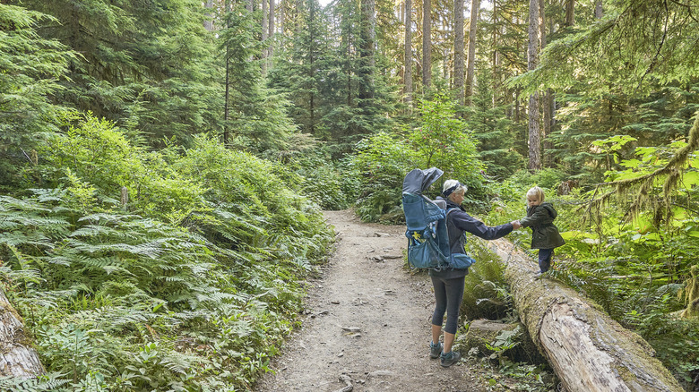 parent and toddler in olympic national park