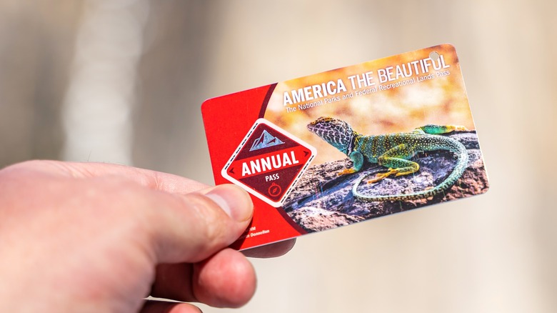 hand holding america the beautiful pass