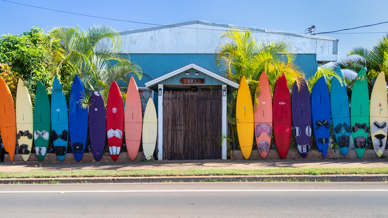 Aloha Surf Hostel in Maui, Hawaii