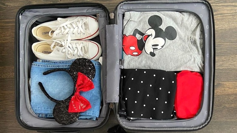 Luggage with Disney merch