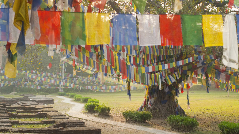 Buddhist prayer flags in Lumbini, Nepal