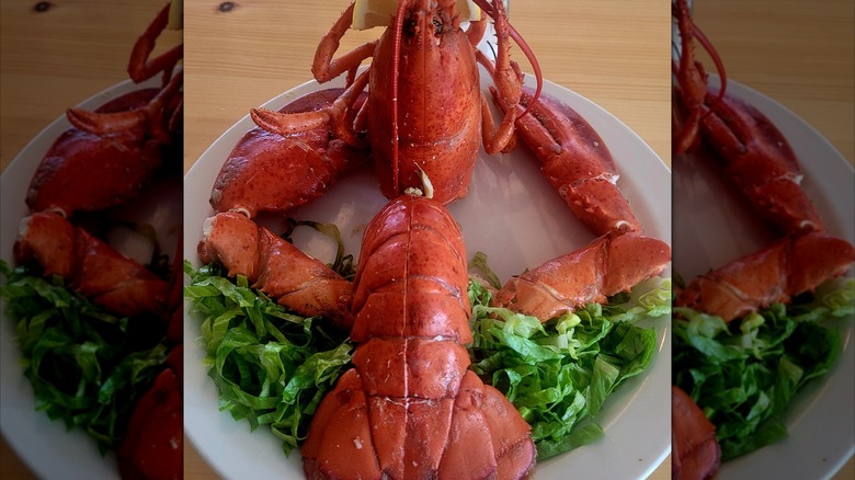 lobster and salad served on a plate