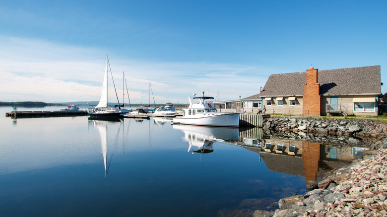 boats docked on flat water along the harbor in Pictou