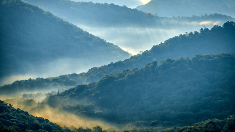 Early morning view along the Highland Scenic Highway in Pocahontas County, West Virginia