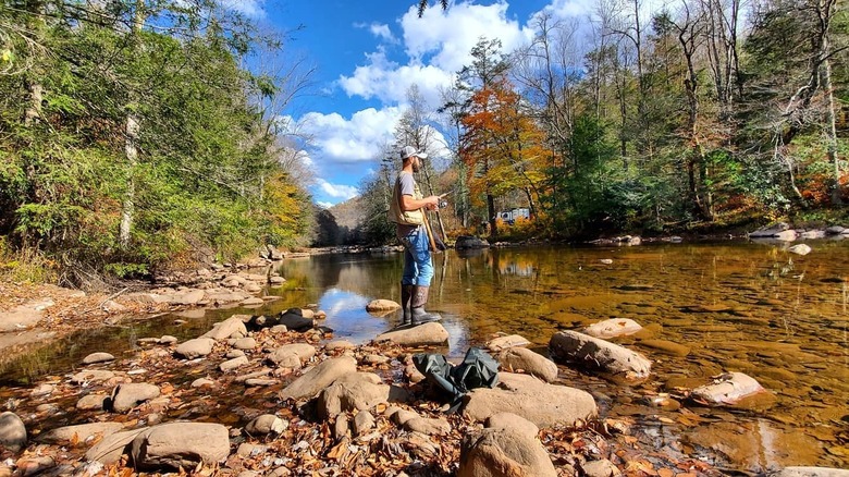 Man fishing in Cranberry River, West Virginia