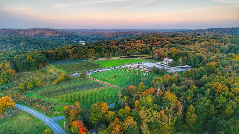 Aquila's Nest Vineyards aerial view