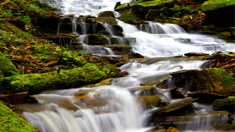 A beautiful cascading waterfall at Oil Creek State Park in spring