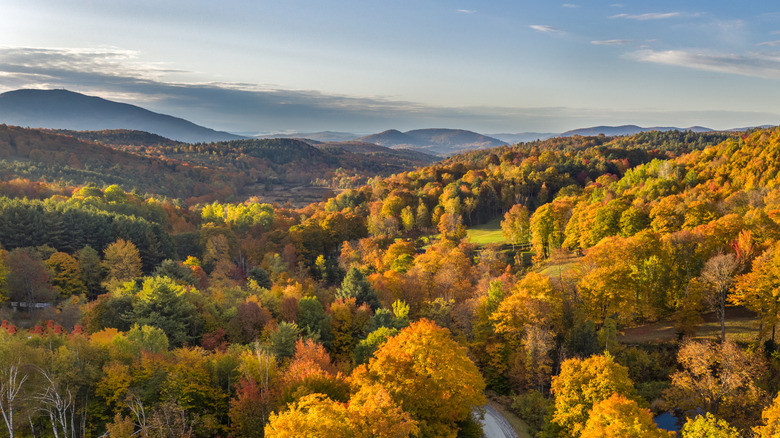 Golden sunlight on the forest and mountains near Windsor, Vermont in autumn