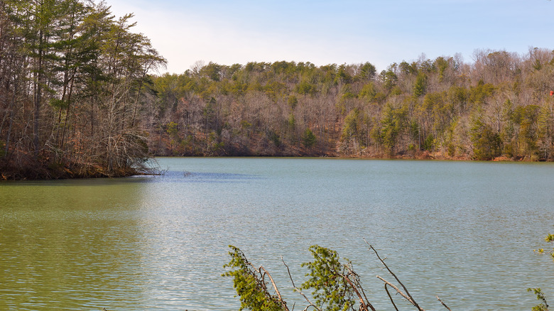 View of Philpott Lake taken from a hiking trail