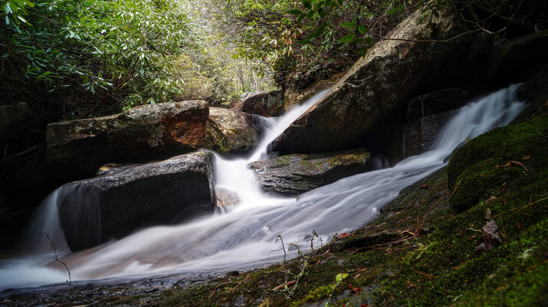 The Bearwallow Falls Gorges State Park, North Carolina