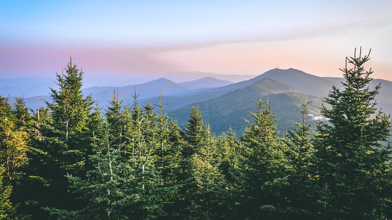 North Carolina's Mount Mitchell, the highest peak of the Appalachian Mountains and the highest peak in mainland eastern North America