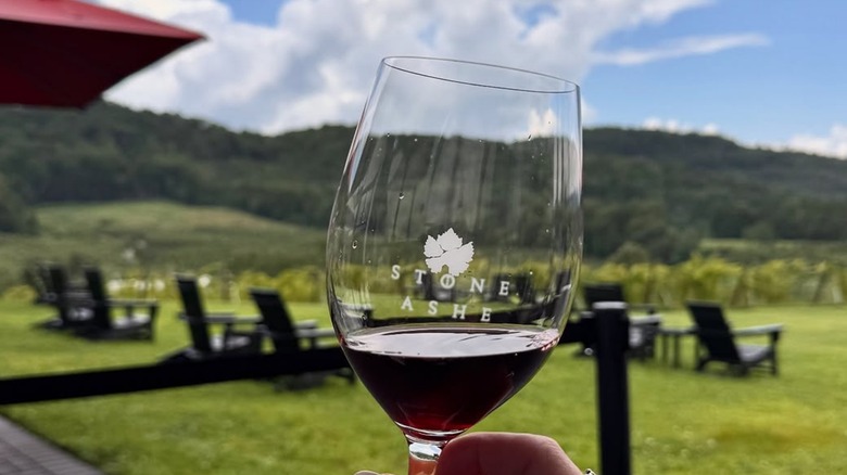 Red wine in a wine glass with mountains in the background at Stone Ashe Vineyards in Hendersonville, North Carolina