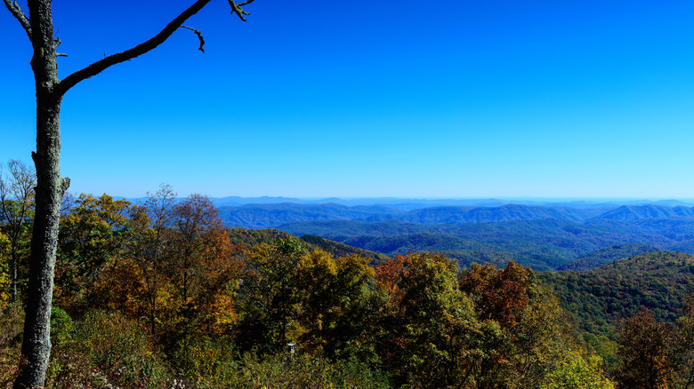 Yadkin Valley overlook