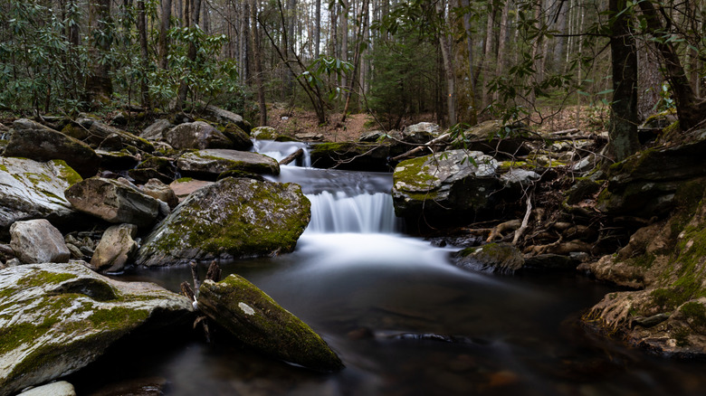 Small waterfall on Grassy Creek in Doughton Park near the Blue Ridge Parkway in North Carolina on a spring day