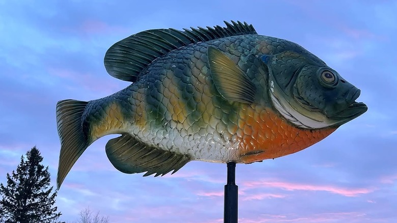 The 14-foot-high bluegill statue in Birchwood, Wisconsin