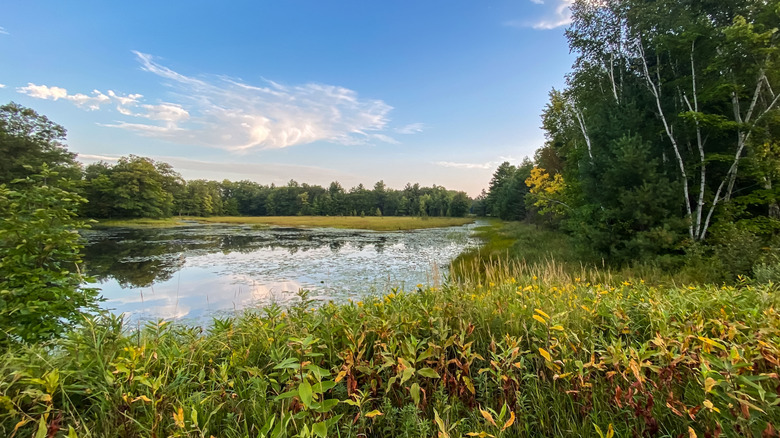The countryside around Birchwood, Wisconsin