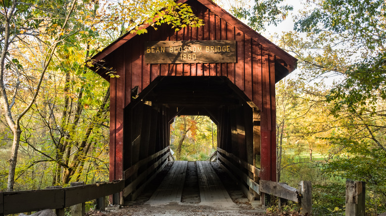 Front view of the Bean Blossom Bridge