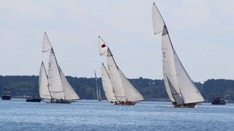 Three sailboats racing