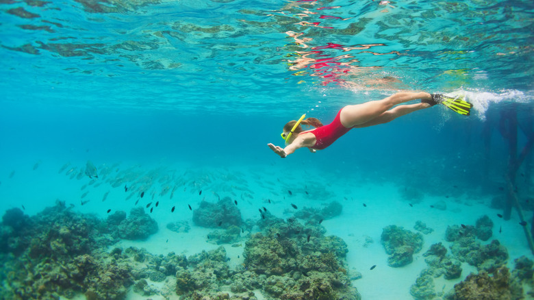 Snorkeler with fish and coral