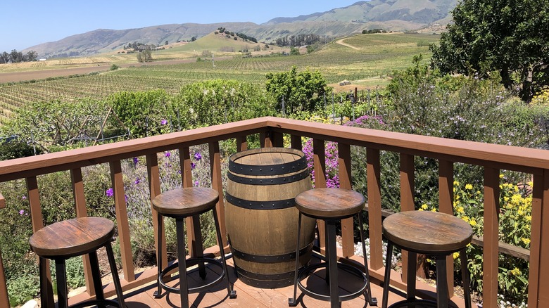 Winery in San Luis Obispo, California