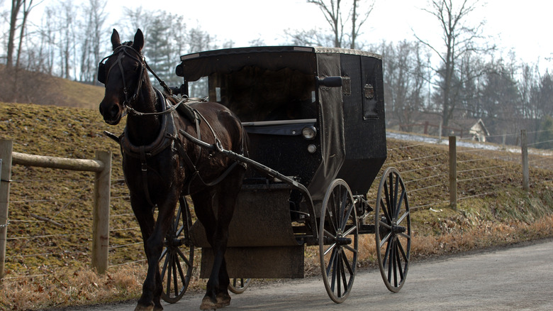 Horse and buggy moving through Amish Country Ohio.