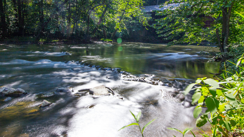 The Mohican River in Ohio gently flows in the sun with trees shading the edges.