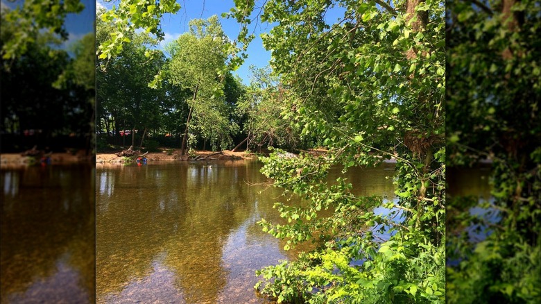 person kayaking on Elk River