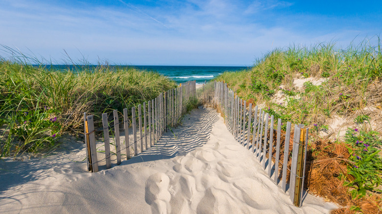 sandy Cape Cod dune with fence