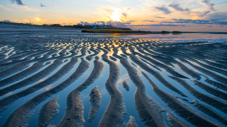 Eastham tidal flats Cape Cod