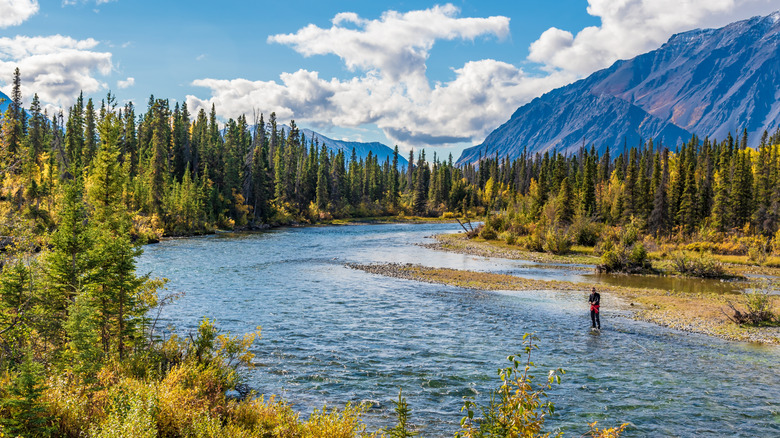 Fishing the Kathleen River west of Whitehorse