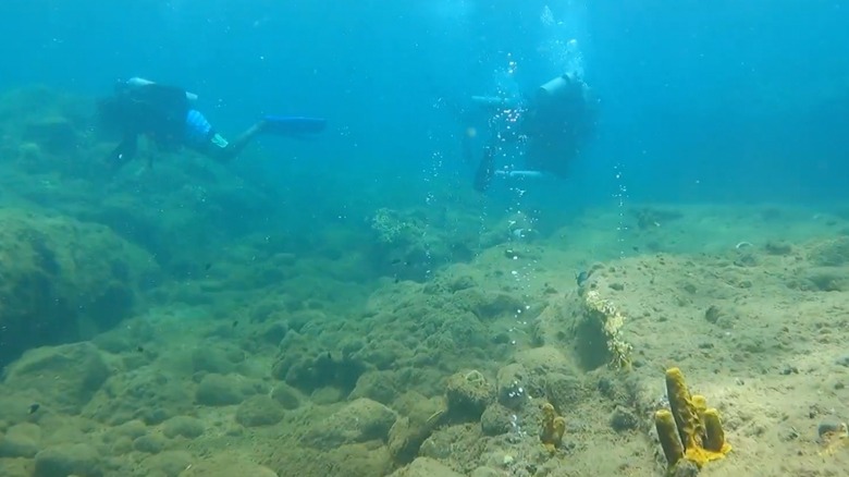 Bubbles underwater at Champagne Reef, Dominica
