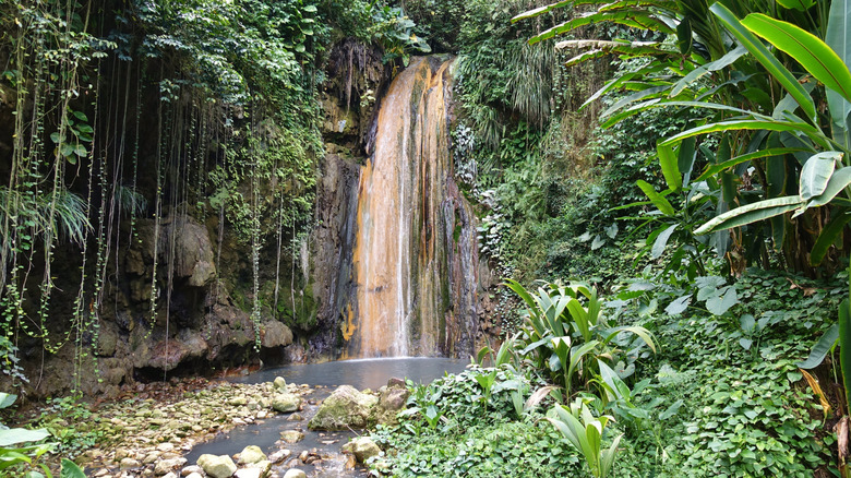 View of the Diamond Falls waterfall surrounded by lush greenery