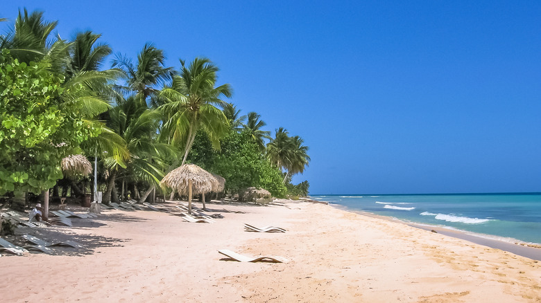 Canto de la Playa's shore with palm trees and beach chairs