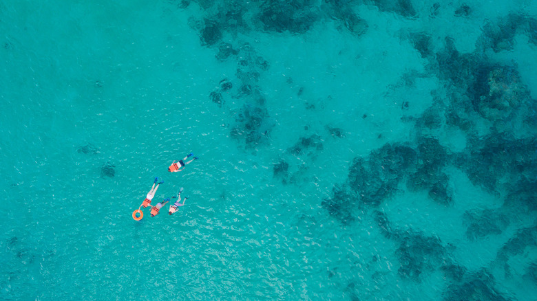 Family snorkeling in the clear blue Caribbean