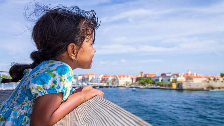 Young dark-haired girl looks out over the water