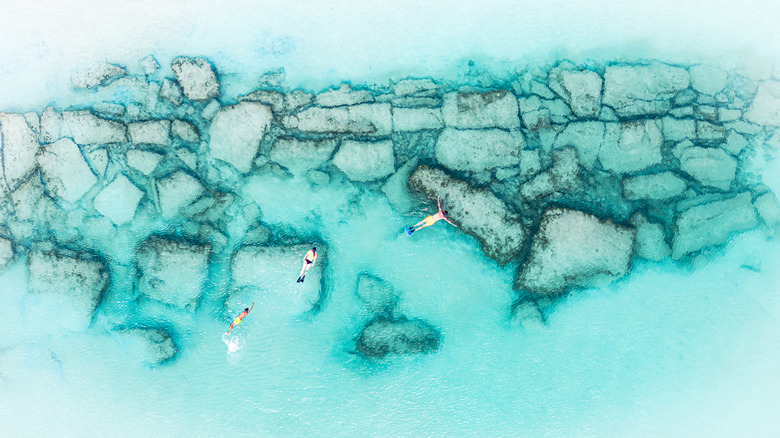 Aerial shot of family snorkeling over reefs