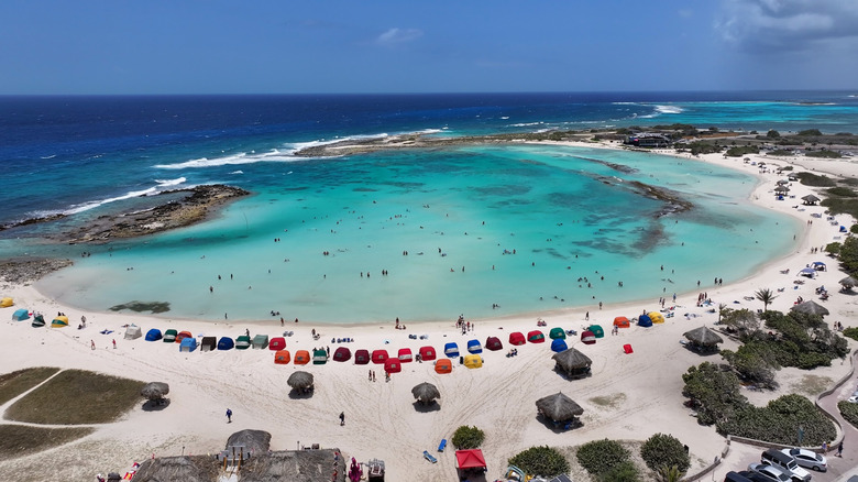 Aerial view of cabanas and sunbathers lining Baby Beach, Aruba