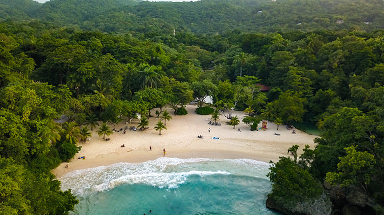 An overhead view of Frenchman's Cove, Jamaica
