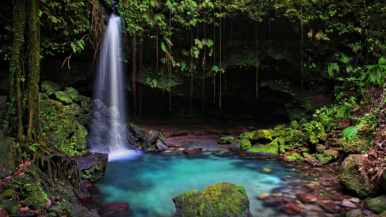 Emerald Pool in Morne Trois Pitons National Park, Dominica