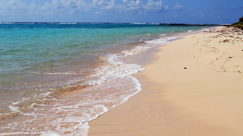 The beach at Point of Sand on Little Cayman